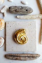 Carica l'immagine nel visualizzatore di Gallery, Spilla NAUTILUS - acciaio inossidabile